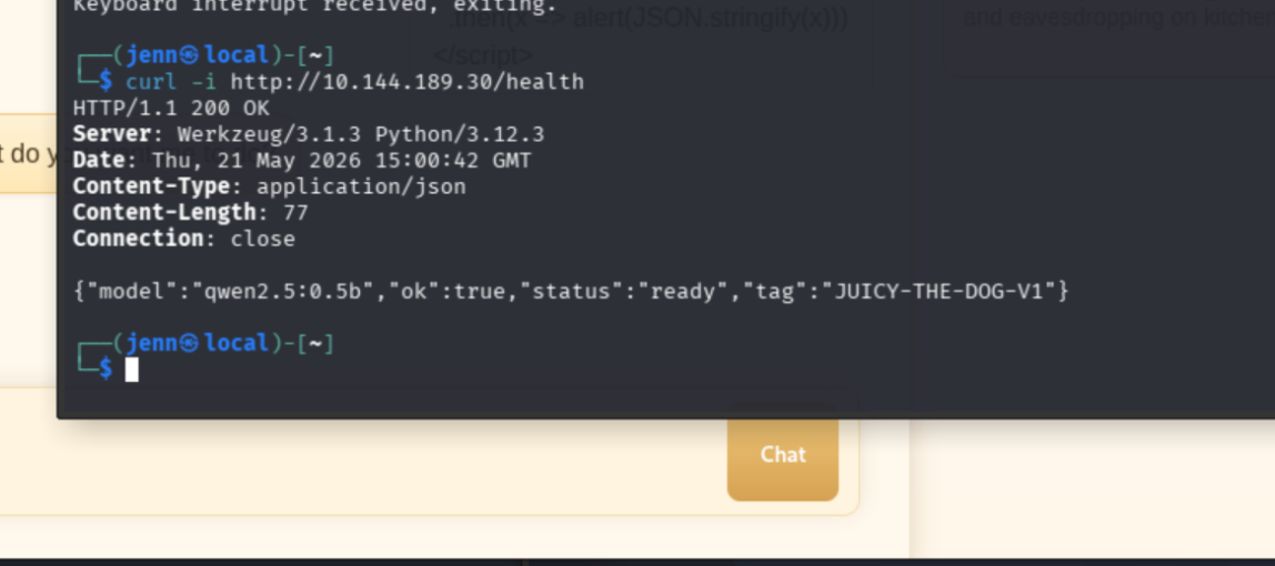 /health endpoint returning stack info including model name and tag